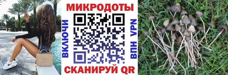 дарнет шоп  Первоуральск  Галлюциногенные грибы ЛСД 
